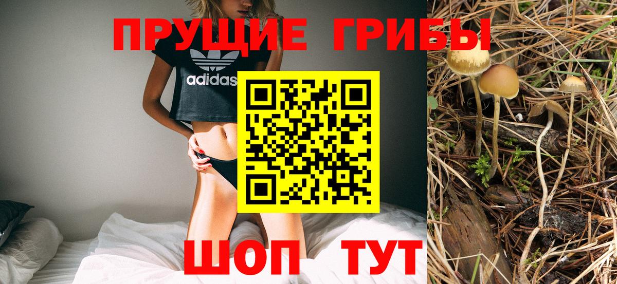 Галлюциногенные грибы Magic Shrooms  Галлюциногенные грибы Cubensis  Кизилюрт  Вход с VPN 