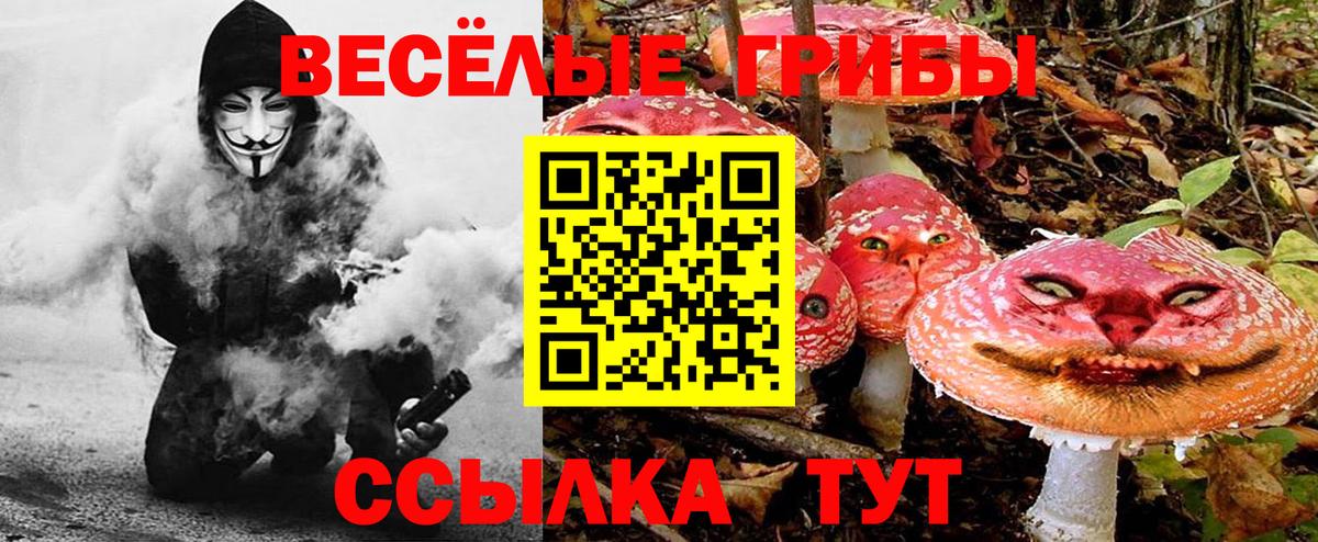 Бошки Шишки Кизилюрт