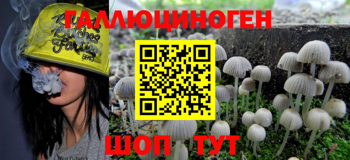 Псилоцибиновые грибы ЛСД Кизилюрт